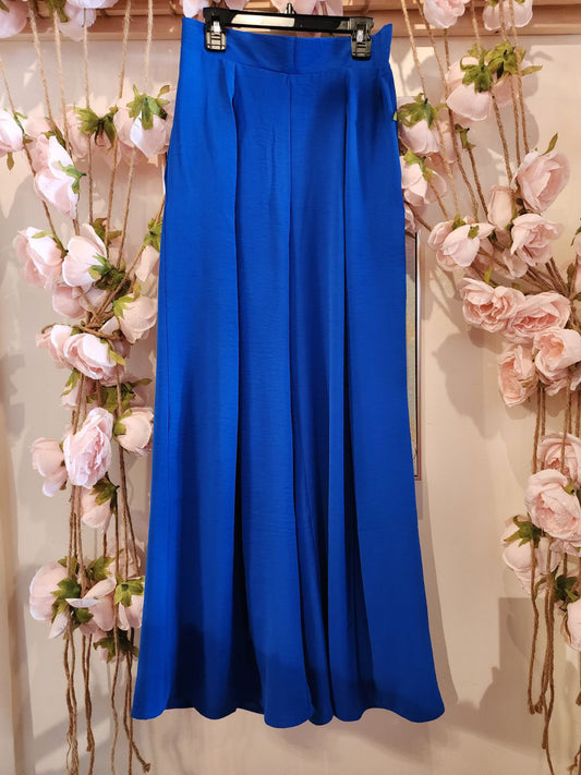 Blue Front Pleat Palazzo Pants